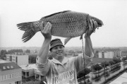 Budapest, 1989. szeptember 9. Lévai László hatvani horgász mutatja a több mint 13 kg-os pontyot, melyet a palotási halastóban fogott. Hajnalban először egy 13,5 kg-os, majd később egy 7,5 kg-os tőponty akadt a horgára.