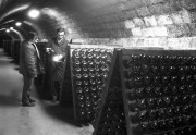 A Hungarovin Borgazdaság Kombinát Törley pezsgőgyárában közel 17 millió palackot töltenek meg az 1989-es évben, mely 5 millióval több az előző évinél. A kapacitásbővítést az év közepén beállított NSZK gyártmányú töltősor tette lehetővé, melyen óránként 15 ezer palackot tudnak megtölteni. A gyár felkészült a közelgő szilveszteri mulatságokra, 8 fajta pezsgőt szállít az ország üzleteibe és vendéglátó helyeire.