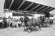 A csikósok bevonulása. A mátai lovaspályán megnyitották a 25. Hortobágyi Nemzetközi Lovasnapok programsorozatát, amely az elmúlt negyedszázad alatt Európa egyik leglátogatottabb lovasversenyévé vált. 