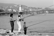 Horgászok a Duna-parton. A Duna alacsony vízállása miatt megnőtt az esély a halfogásra.