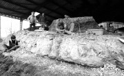  Rudabánya, 1989. április 5. A déli Bükk Subalyuk nevű barlangjában 1932. április 27-én tárták fel az ősember első jelentős csontmaradványát Magyarországon. Később Vértesszőlősön előember-, Rudabányán pedig emberszerű ősmajommaradványokat tártak fel. A képen: Rudabányán az 1985-ben megszüntetett vasércbánya területén - a Rudapithecos Hungaricus lelőhelyén - az iskolai szünetekben diákok is segítenek a feltárásban.