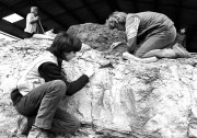  Rudabánya, 1989. április 5. A déli Bükk Subalyuk nevű barlangjában 1932. április 27-én tárták fel az ősember első jelentős csontmaradványát Magyarországon. Később Vértesszőlősön előember-, Rudabányán pedig emberszerű ősmajommaradványokat tártak fel. A képen: Rudabányán az 1985-ben megszüntetett vasércbánya területén - a Rudapithecos Hungaricus lelőhelyén - az iskolai szünetekben diákok is segítenek a feltárásban. 